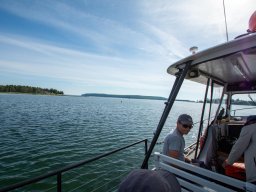 June-26
